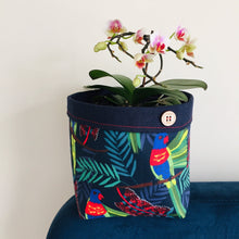 Load image into Gallery viewer, Planter - Lorikeet